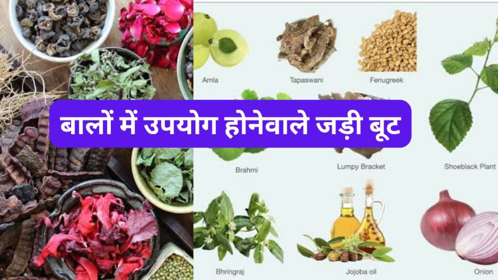 बालों को झड़ने से बचाता है