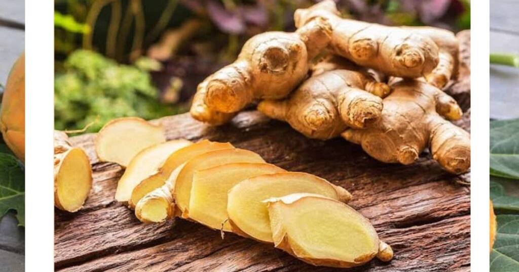 How To Avoid Pregnancy