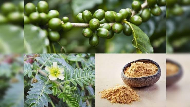 Home Remedies To Cure Kidney Stone